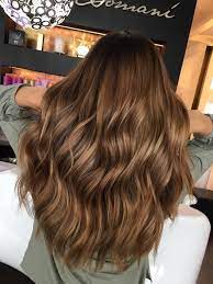 warm brown hair with highlights warm light brown hair honey brown hair hair highlights in 2021 tonung haare brauntone haare frisuren lange haare braun