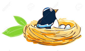 Die entwicklung einer wespe durchläuft mehrere phasen: Vogel Bruten Ihre Eier Im Nest Vektor Illustration Lizenzfrei Nutzbare Vektorgrafiken Clip Arts Illustrationen Image 40591779