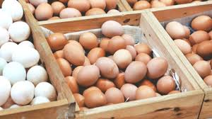 Harga telur ayam ras di banda aceh 21.600. Telur Ayam Merangkak Naik Dpr Desak Pemerintah Tinjau Harga Di Pasar Monitor