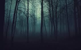 images?q=tbn:ANd9GcS9jy0vu2b4lPm4AfL9GsBNtXK6-jazEb_L1w&usqp=CAU"