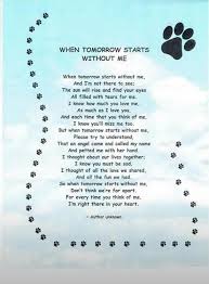When Tomorrow Dog Heaven Quotes Pet Poems Pet Loss Quotes