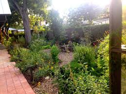 A pollinator garden is planted and designed, with specific nectar and pollen producing plants, in a way that attracts pollinating insects known as pollinators. How To Plan A Successful Butterfly And Pollinator Garden Texas Butterfly Ranch