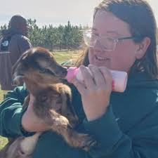 Fill in the blanks. Candace: MOM! Phineas and Ferb are...