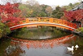 Kyoto Sightseeing Guide Japan Travel Kyoto Japan Travel Guide