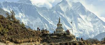 Image result for Emilia schinzii