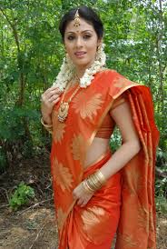 Beauty Galore HD : Sadha Gorgeous And Hot In Orange Saree