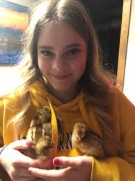 Movie tribute to golden girls