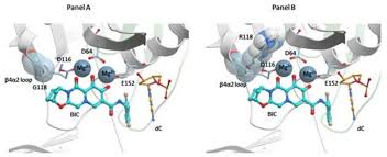 Image result for Integrase Strand Transfer Inhibitor