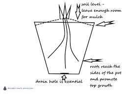 Shipping container sizes as well as markings, specifications are to comply with international standards so that containers can be used as intermodal of course, there are always special containers which have length and width dimensions similar to those of iso ones but have different heights and weights. Succulents Pot Size How Big A Pot Do They Need
