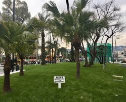 Elenco negozi e aziende presenti in piazza san pasquale a portici (napoli). La Metropolitana Di Napoli Per Le Nuove Aiuole Di Piazza San Pasquale Premio Greencare