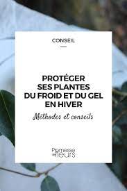 Comment protéger ses cheveux en hiver ? Proteger Les Plantes Du Froid Et Du Gel En Hiver Promesse De Fleurs