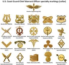Warrant Officer United States Wikipedia