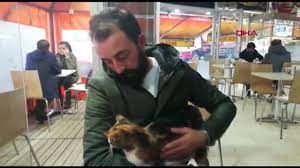 istanbul sultangazi de kuyrugu kesik kedilerin sirri ne dailymotion video