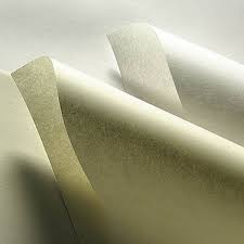 Image result for pergamen