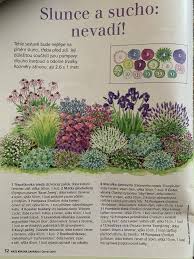 Pin By Tereza F On Garden Ideas Hacks In 2020 Plants Garden