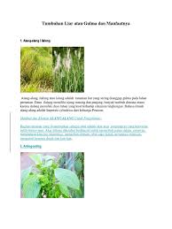 Check spelling or type a new query. Biologi Gulma