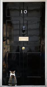 No 10 Downing Street London Even The Prime Minister S Cat Is On The Wrong Side Of The Door Kedi Kedi Evi Kedi Kopek