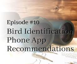 This app can let you know biology detail of any bird just by a photo. Bird Apps Field Guide App Recommendations Birding Tools