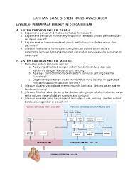 Soal essay audio video kumpulan pertanyaan & jawaban esai: Doc Latihan Soal Sistem Kardiovaskuler Shella Karina Academia Edu