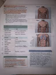 The proximal quadrant of the snake generally contains the trachea, esophagus, parathyroid glands, thymus, thyroid, and the. Solved Fill In The Parts Of The Table That Have Stars By Chegg Com