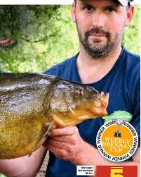 Massive tench