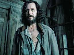 See more ideas about sirius black, sirius, harry potter. Love Stricken Fool Sirius Black X Reader Imagine Golden Trio Era Misc Harry Potter Writings