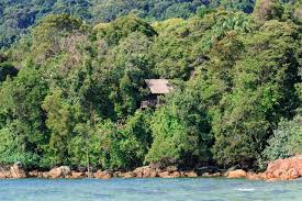 Pondok permai solo rumah 1 lantai : Permai Rainforest Resort Eco Resort On Santubong Peninsula Kuching Borneo