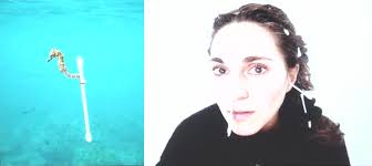 Enquêtes humanimales : vers une reconfiguration d…