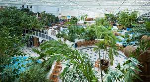 See 12,174 traveler reviews, 5 staff at swimming pool was great and clearly explained all latest rules. Center Parcs Sherwood Forest To Receive 15m Revamp Blooloop