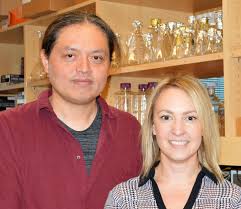 Scientists take step toward mapping how the brain stores memories