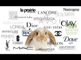 Check spelling or type a new query. Animal Testing Makeup Companies And The Eu Ban Youtube