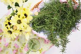 ¡huerto de plantas aromáticas a domicilio! Hierbas De Olor Para Cocinar 26 Variedades Y Como Las Puedes Utilizar