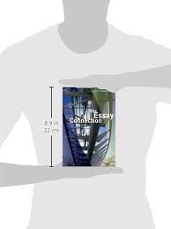 The Essay Connection