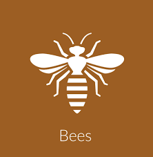 Are you looking for an effective pest and bed bugs extermination service in aurora? Bohmz Pest Control Wild Animal Removal Wisconsin