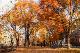 In fact, that's one of our gents place values. 9 Fun Facts About Thanksgiving Worldstrides