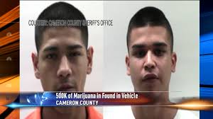 Marijuana bust in Cameron County