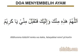 Home » doa dan dzikir » bacaan doa orang teraniaya dalam al qur'an dan dalilnya. Bacaan Doa Menyembelih Atau Memotong Ayam Menurut Islam Abiabiz