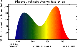 Charts Re Lights For Plants Good Article For The Home