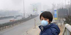 Oleh karena itu, kritik dan saran dari seluruh pihak senantiasa kami harapkan demi kesempurnaan karya kami. Penyebab Global Warming Dan Cara Mengatasinya Bantu Kurangi Peningkatan Suhu Bumi Merdeka Com