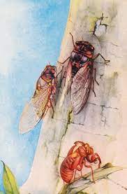 Claiming to have made elements you did not make is a bannable offense. Songs Of The Cicada The New Yorker