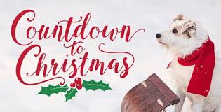 Movies with hanukkah themes for its 2019. A Complete Ranking Of Hallmark S 2019 Christmas Movies Hallmark For All Seasons