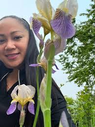 How to grow and care for irises flowers