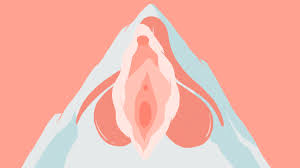 Male genitalia is well documented lynn is a woman on a mission to help us understand what a normal vagina timeline looks like and. 23 Vagina Facts You Ll Want To Tell All Your Friends