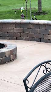 When your husband finds a duck at Menards!!! 🤣