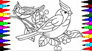Print out one of these fun birdorable. Learn To Color Birds Coloring Pages Videos For Children Learn Colors Youtube