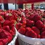 Red Barn Fruit Market from m.facebook.com