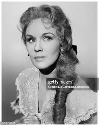 106 Lisa Carvalho Stock Photos, High-Res Pictures, and Images