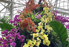 Jmv consulting engineer pc greenhouse specialist. Enid A Haupt Conservatory The Culture Concept Circle