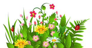 Flowers Clipart Border Flowers Clipart Clipart Spring Flowers Spring Flowers Images Flower Garden Drawing Flower Clipart
