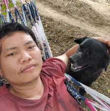 1/14 RC Trucks/Dump Trucks Worldwide